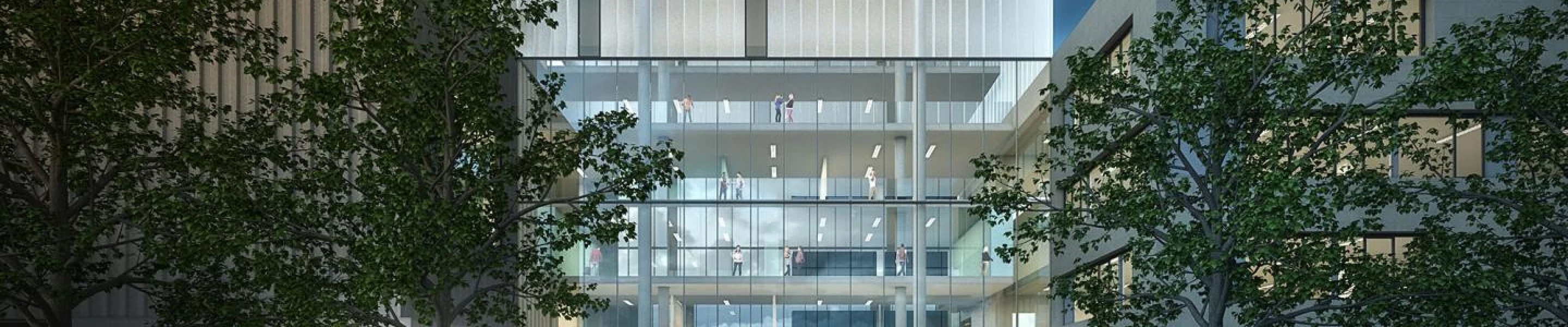 Bachelor of Laws (Hons) (LLB)